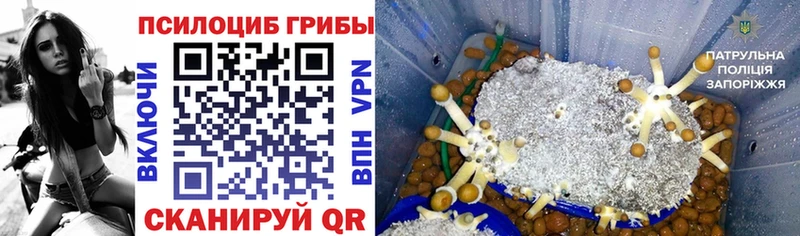 маркетплейс как зайти Альметьевск Псилоцибиновые грибы мухоморы