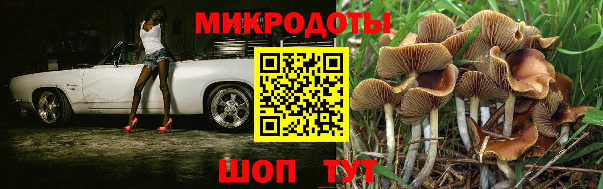 Альметьевск  Псилоцибиновые грибы Cubensis  Вход с VPN  Псилоцибиновые грибы Magic Shrooms 